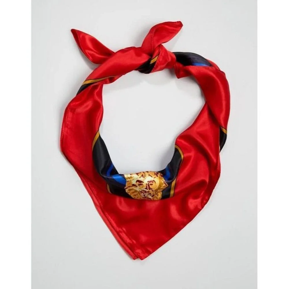 NWOT Aldo Acolla Scarf